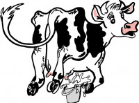 fermeduclos vache